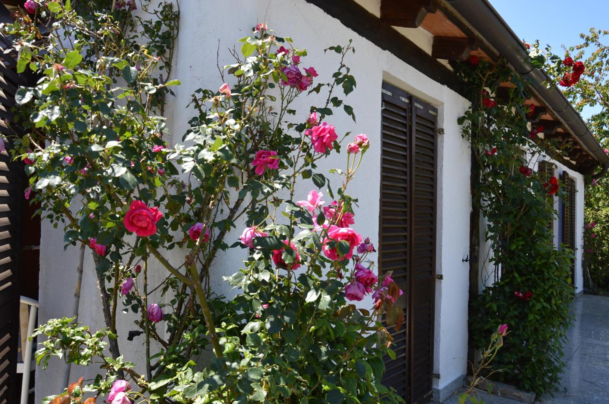 Residence Angiolina Nova Vas  외부 사진